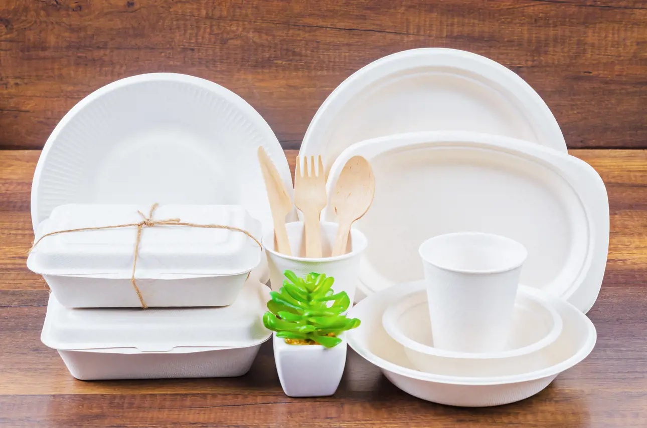 Molded fiber cups and plates