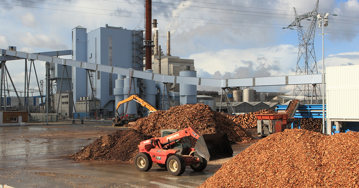 Biomass To Energy Solutions For High Efficient And Sustainable Power