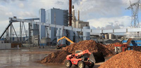 Dalkia Facture - Full-scope solution for biomass processing