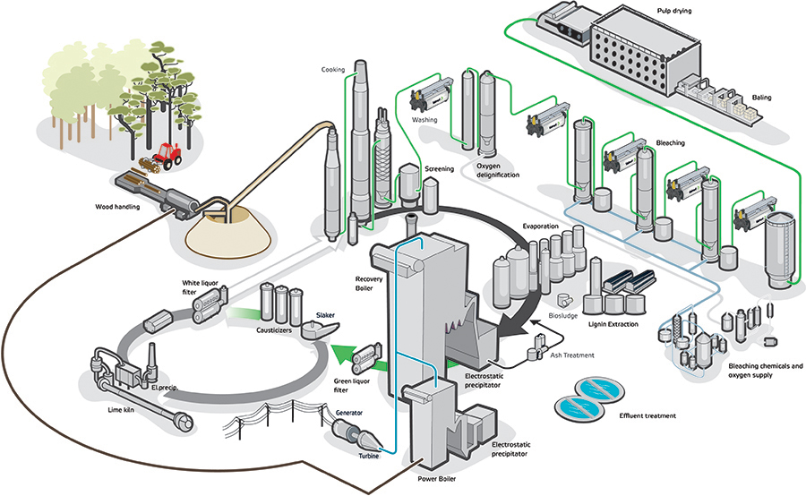 Valmet's pulping process