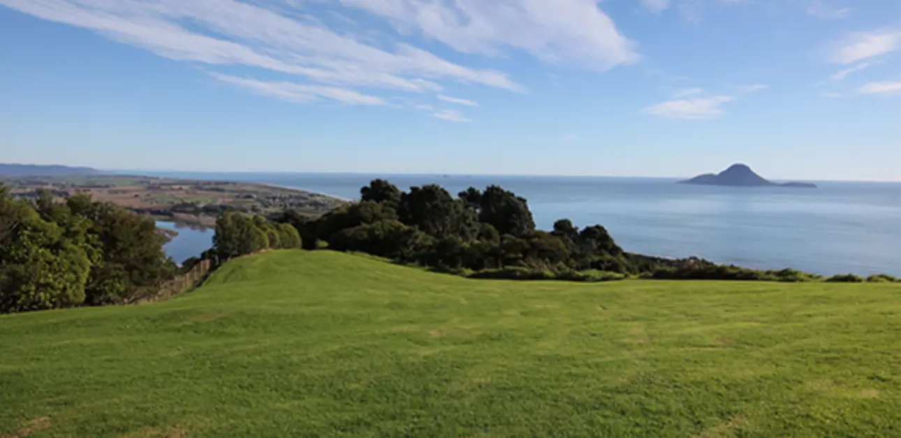 whakatane-image-570x277px.png