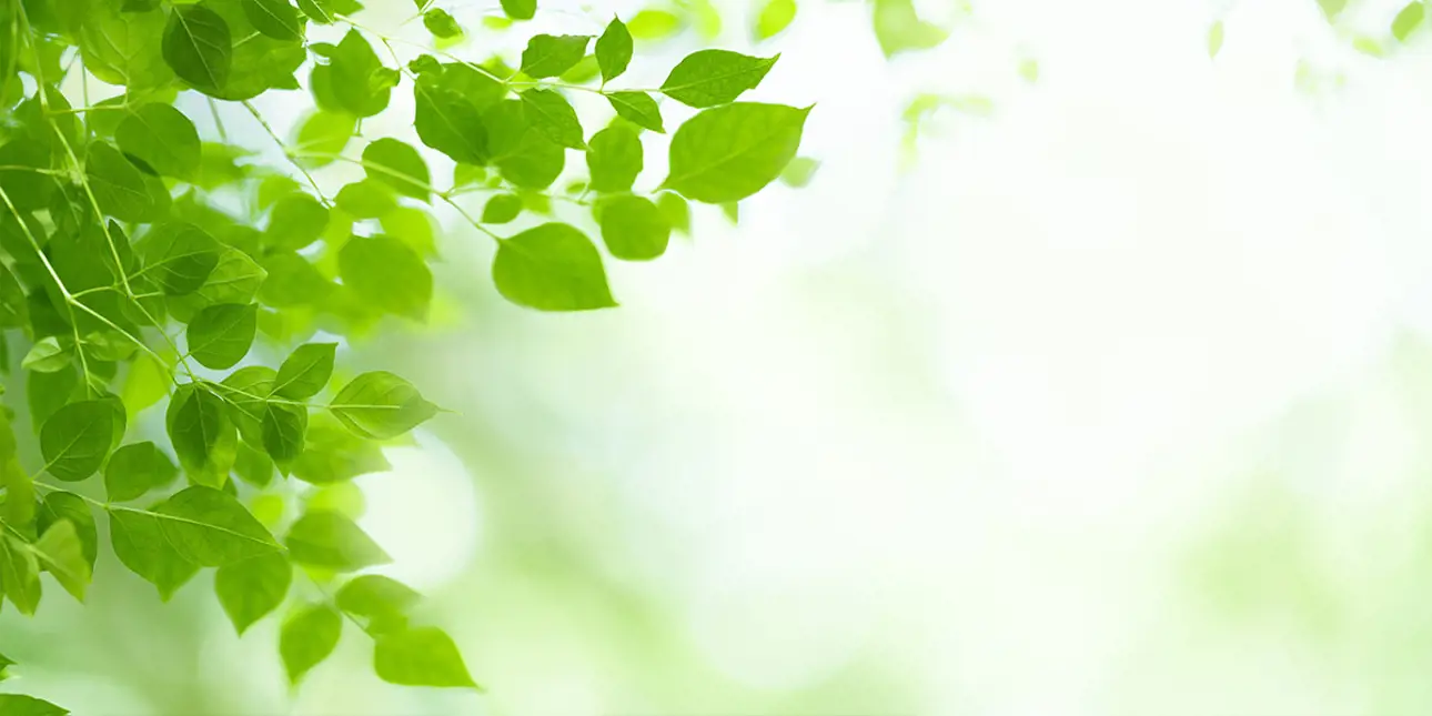 Green leaves illustrating "AI with purpose"