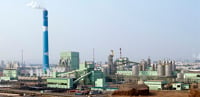 Rizhao mill:One year of successful operation